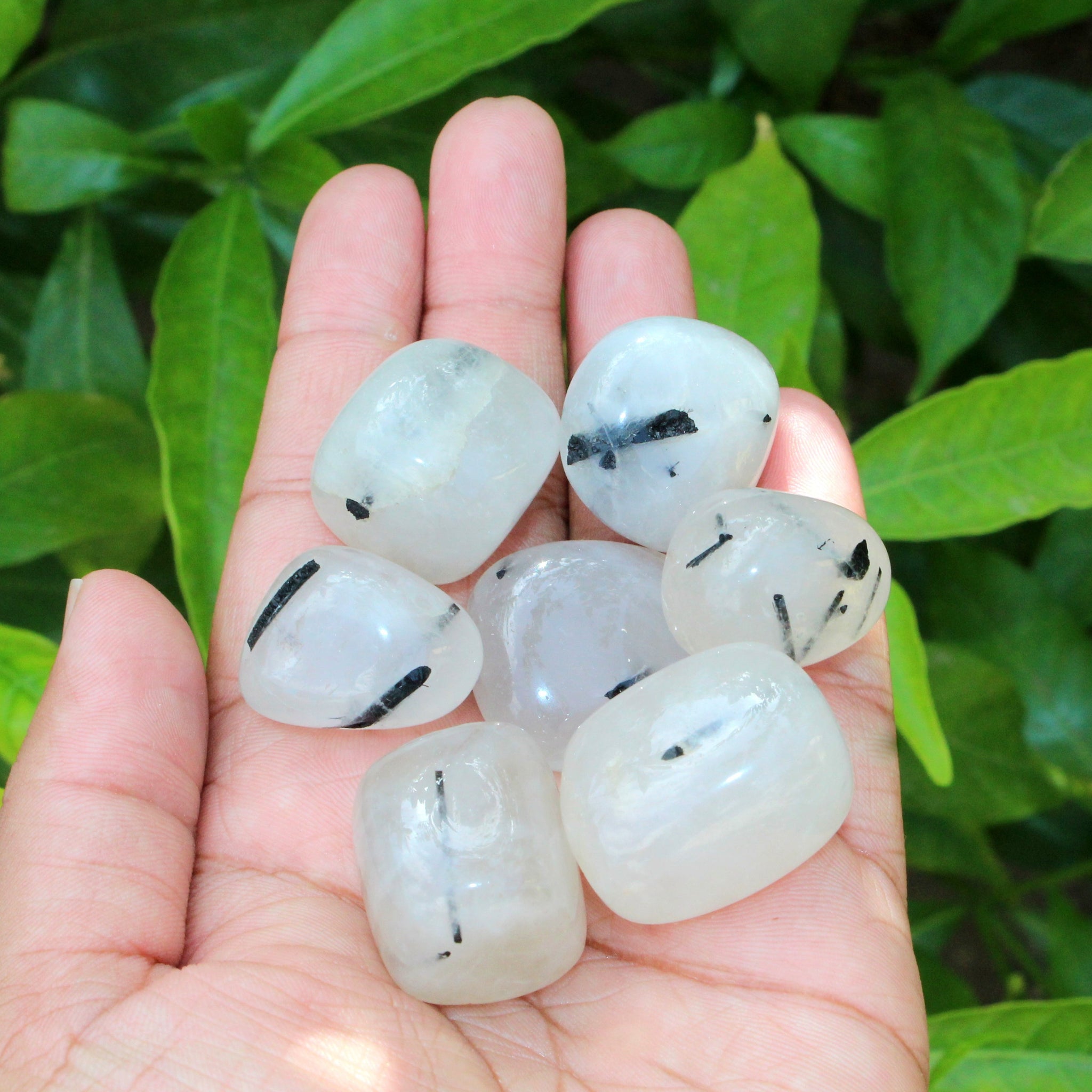 Natural Black Tourmaline in Quartz Tumbled Stone Pack of 100 grams