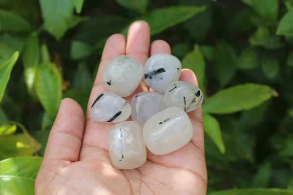 Natural Black Tourmaline in Quartz Tumbled Stone Pack of 100 grams