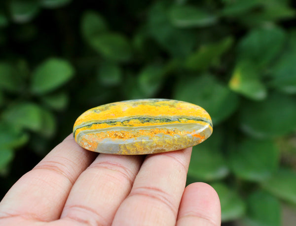 Natural Bumble Bee Jasper Oval Palm Stone