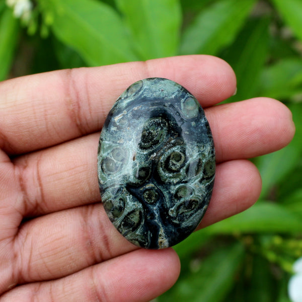 Natural Kambaba Jasper Oval Palm Stone