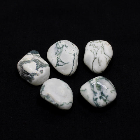 Natural Tree Agate Tumble Stone