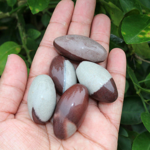 Natural Narmada shiva Lingam