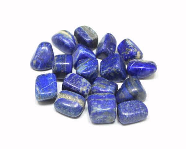 Natural Lapis Lazuli Tumbled Stone Pack of 100 grams - Wholesale