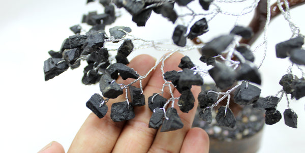 Natural Black Tourmaline Raw Chips Gem Tree