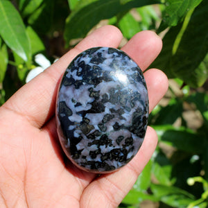 Natural Indigo Gabbro Merlinite Palm Stone