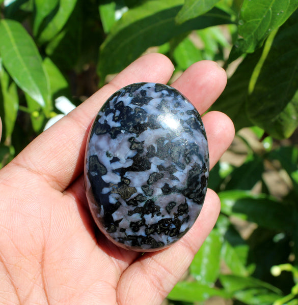 Natural Indigo Gabbro Merlinite Palm Stone