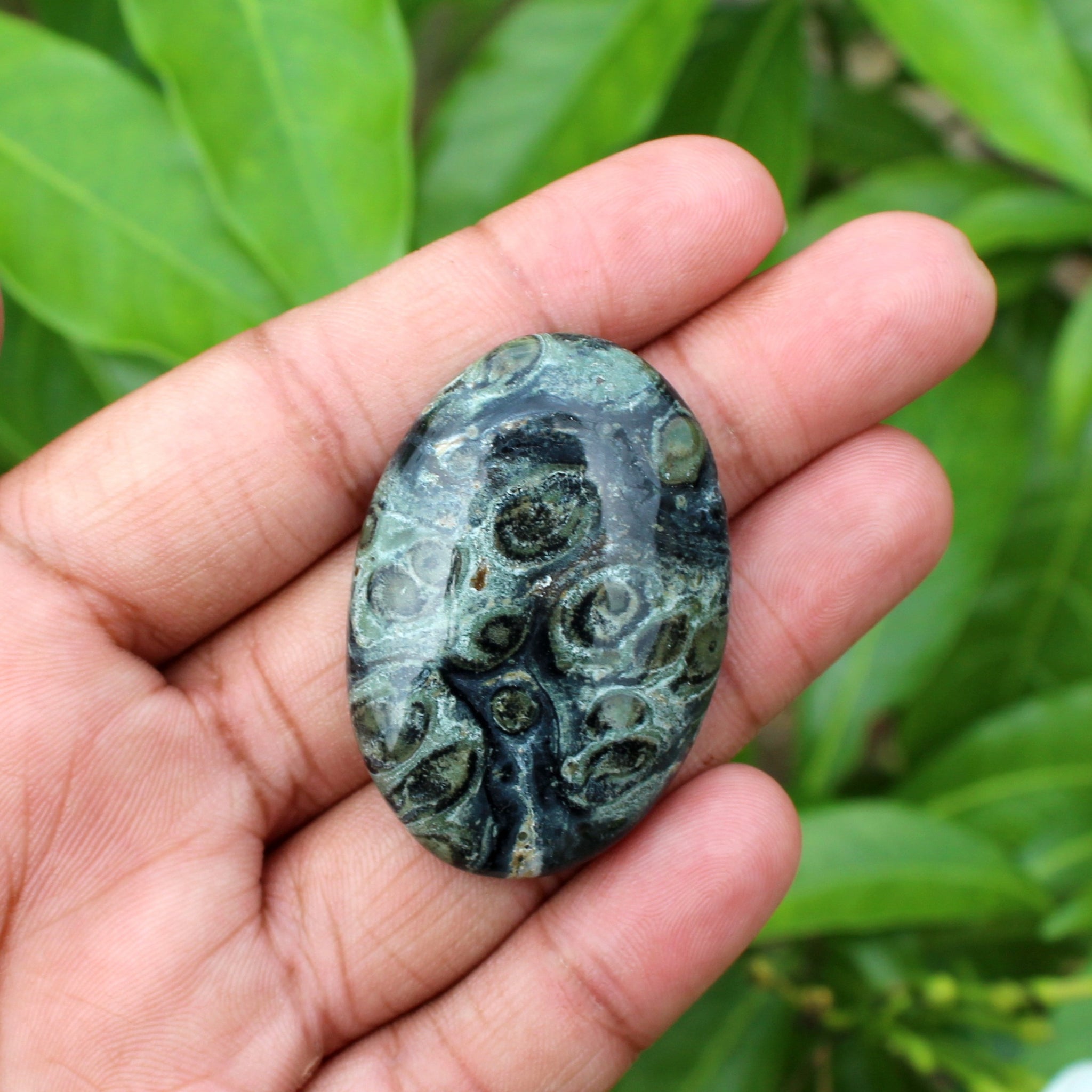 Natural Kambaba Jasper Oval Palm Stone